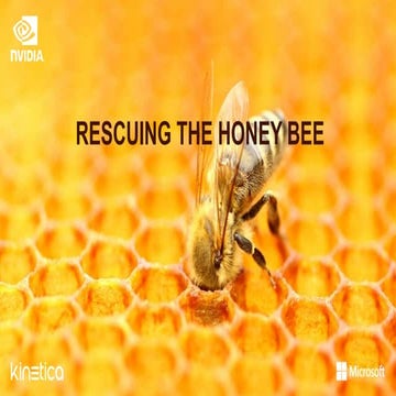 Rescuing the Honey Bee with Kinetica, NVIDIA, and Microsoft