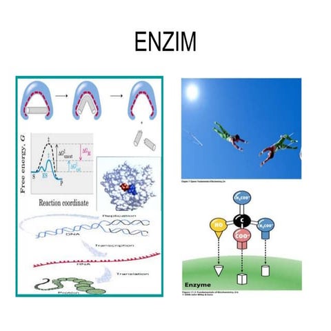 Kinetika Enzim untuk mahasiswa kesehatan