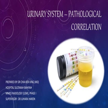 Urinary system – common pathological correlation