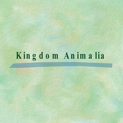 Kingdom Animalia Survey