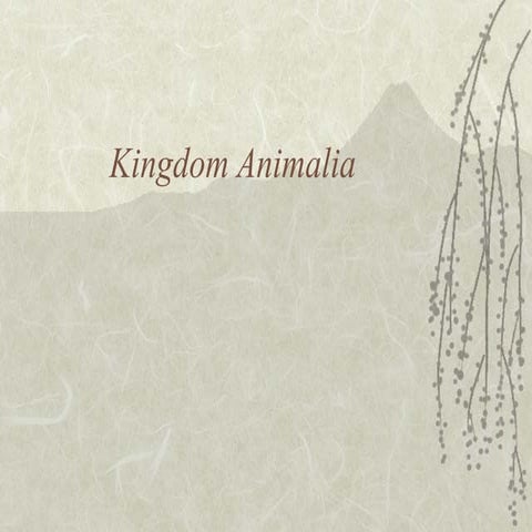 Kingdom animalia