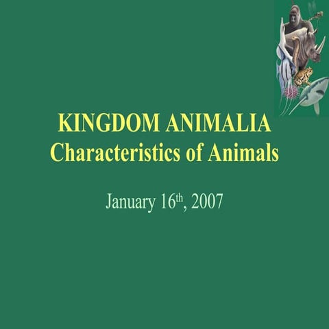 Kingdom Animalia