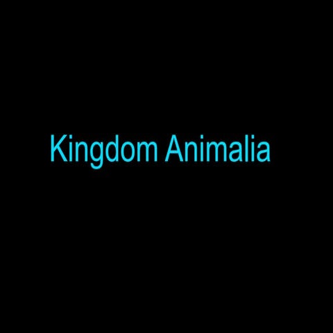 Kingdom Animalia slides pdf 12456795bdnb