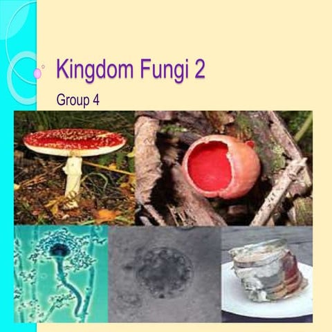 Kingdom fungi2