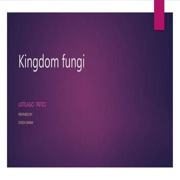 Kingdom fungi (ustilago)