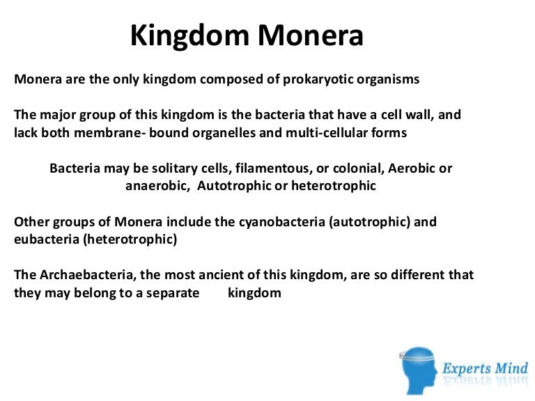 Kingdom Monera Examples, Characteristics, Definition, And Diagram – NTRJT