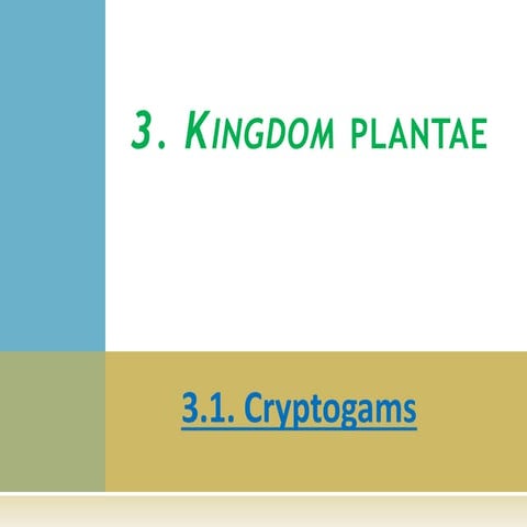 Kingdom plantae