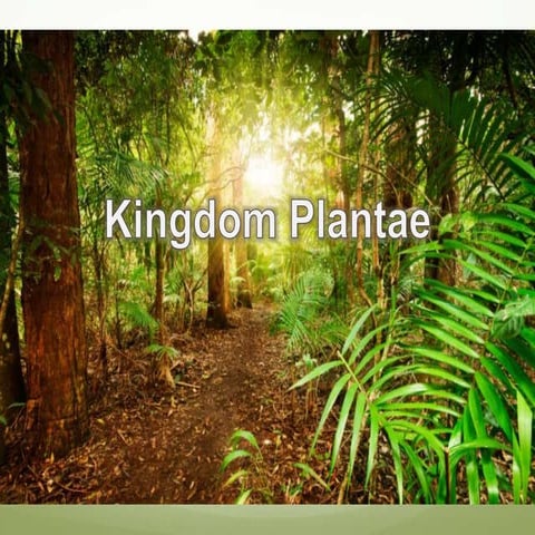 Kingdom plantae introduction
