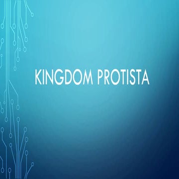 Kingdom protista
