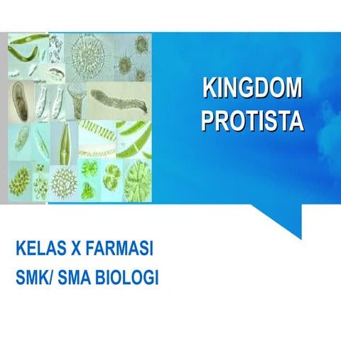 Kingdom protista