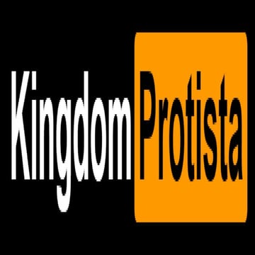 Kingdom Protist Power Point Presentation