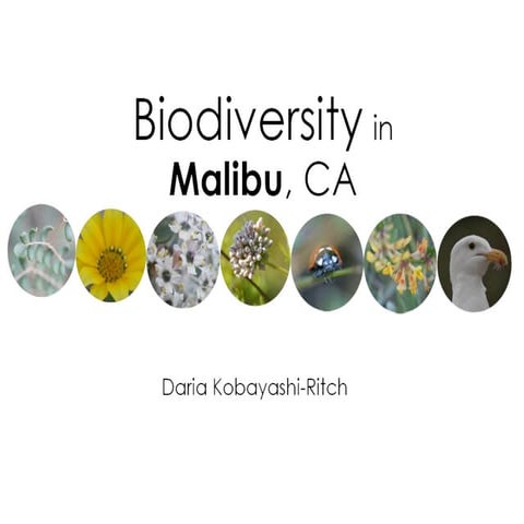 Biodiversity in Malibu, CA