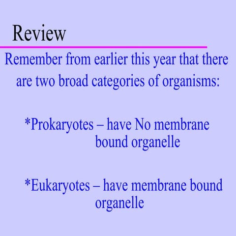 Kingdoms archaebacteria