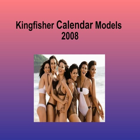 Kingfisher Calendar 2008