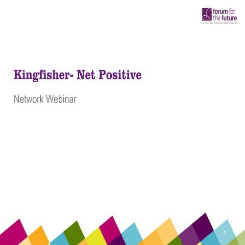 Kingfisher  net positive webinar