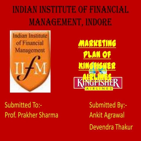 Kingfisher's marketing plan