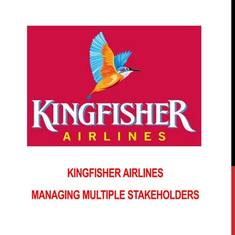 Kingfisher stakeholders case study