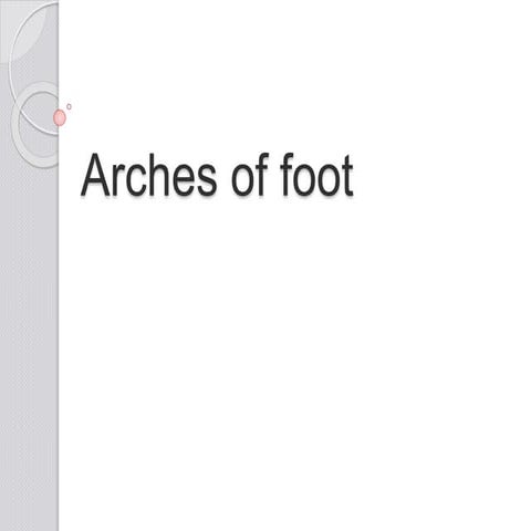 Kinisiology  arch of foot