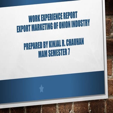  work experience report