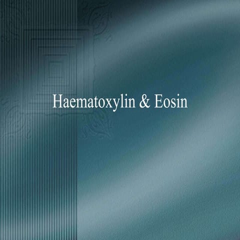Haematoxylin__Eosin.ppt