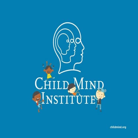 KIPP ADHD presentation Kurtz