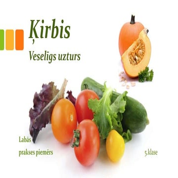 Kirbis pdf