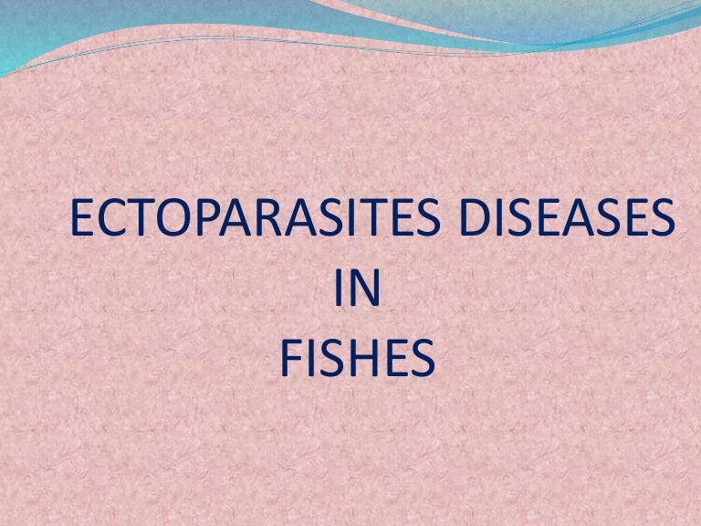 ectoparasites disease in fish