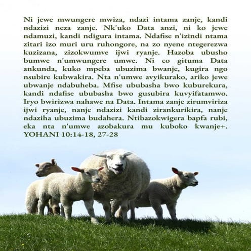 Kirundi (Rundi) - Good Shepherd Gospel Tract.pdf