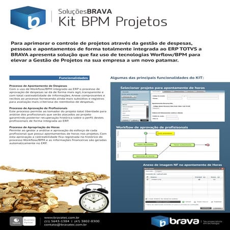 BRAVA KIT Cadastro Itens DATASUL EMS | PPTX