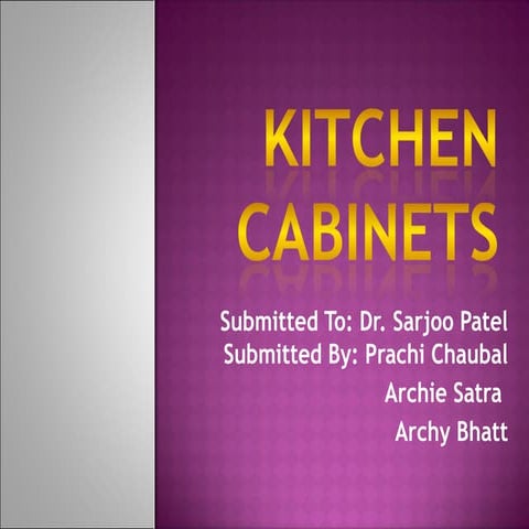 Kitchen cabinets2