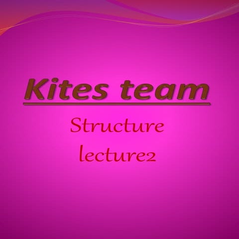 Kites team l2