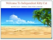 Independent Kitty cat - Asian Escor...