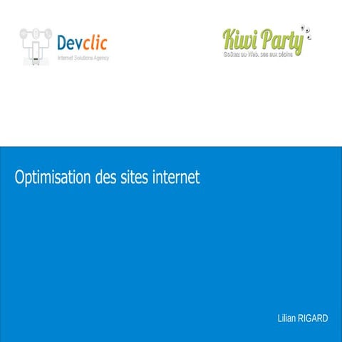 Kiwiparty 2011 - Optimisation des sites internet