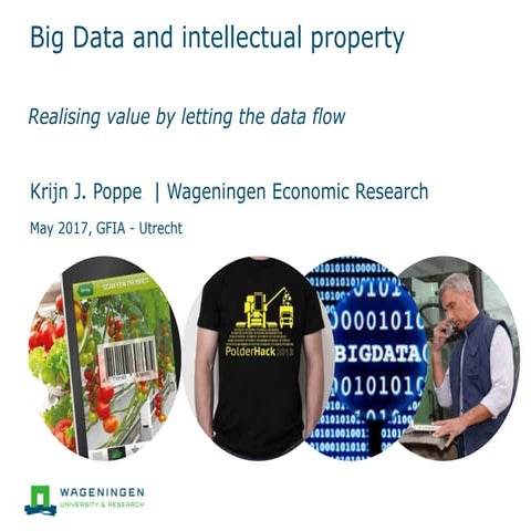 Big Data and IPR