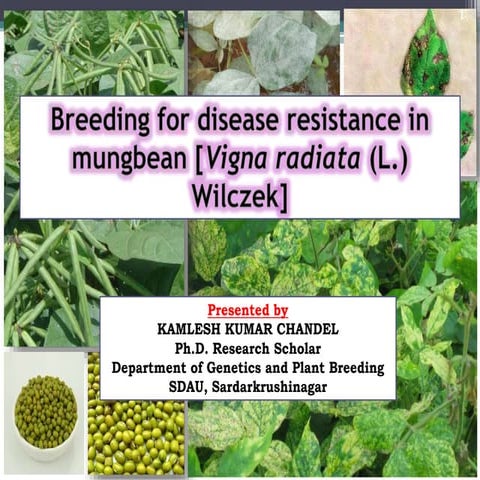 Breeding for disease resistance in mungbean [Vigna radiata (L.) Wilczek]