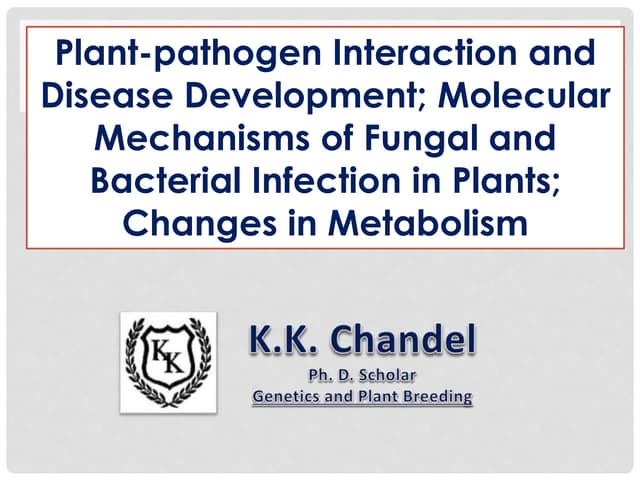 Plant - Pathogen Interaction and Disease Development