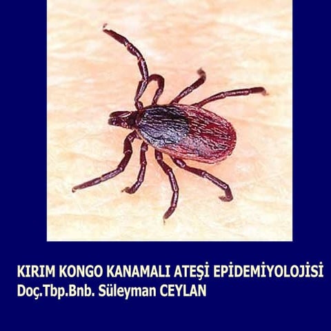 Kkka Epidemiyoloji