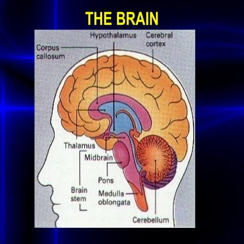 Kkkkkkkkkkkkkkkkkkkkkkkkkkkkkkkkkk