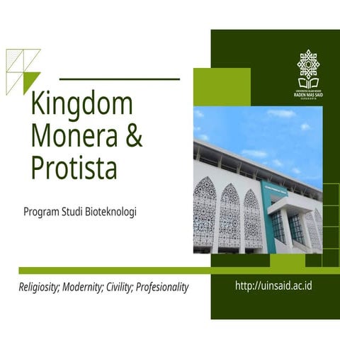 Comprehensive Overview of Kingdom Monera and Protista: Characteristics ...