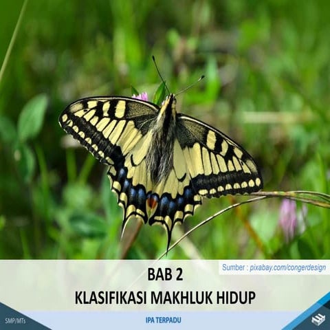 Klasifikasi Makhluk Hidup Kelas VII Kumer.ppt