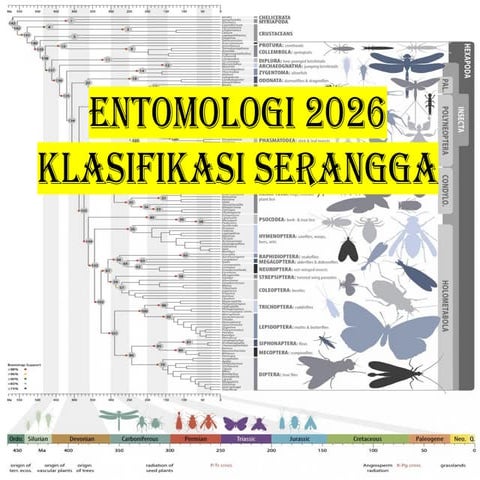 Comprehensive Classification and Description of Insect Orders in ...