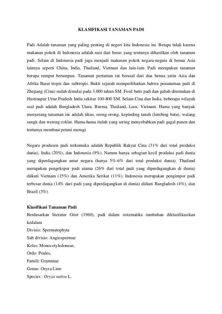 Klasifikasi Tanaman Padi