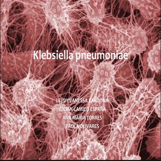 Klebsiella pneumoniae