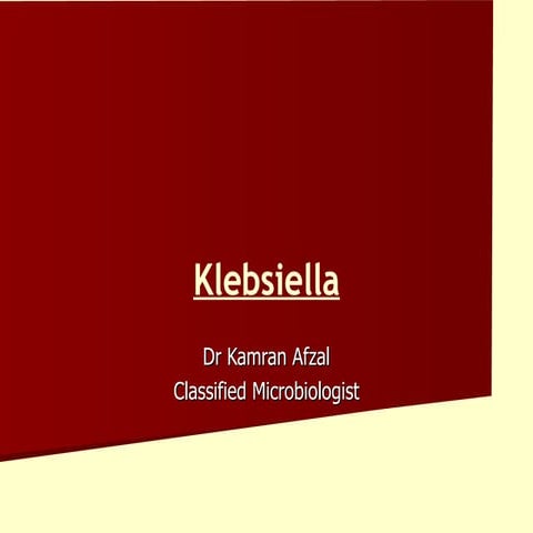 Klebsiella+Proteus+Uti