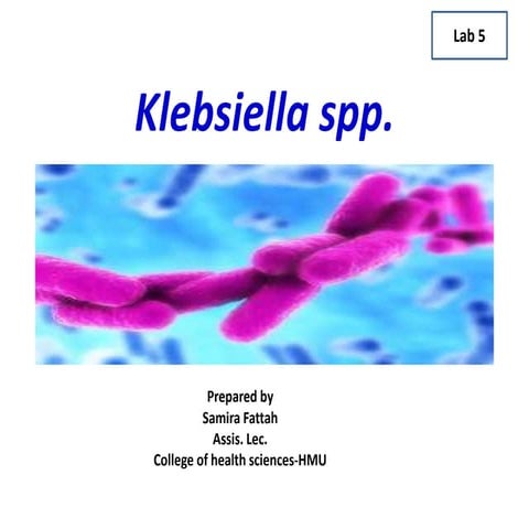 Klebsiella spp