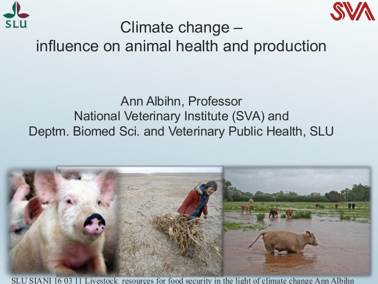 Climate change influence on animal health and production