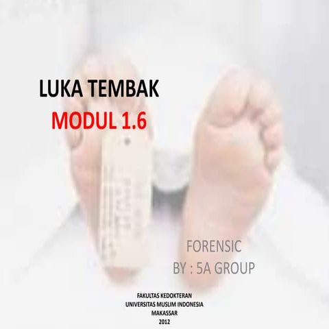 Luka Tembak Forensik