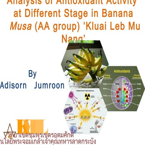 Analysis of Antioxidant in banana