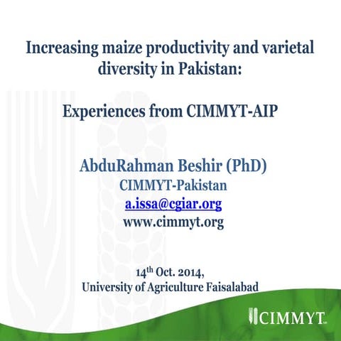 Increasing maize productivity and varietal diversity in Pakistan