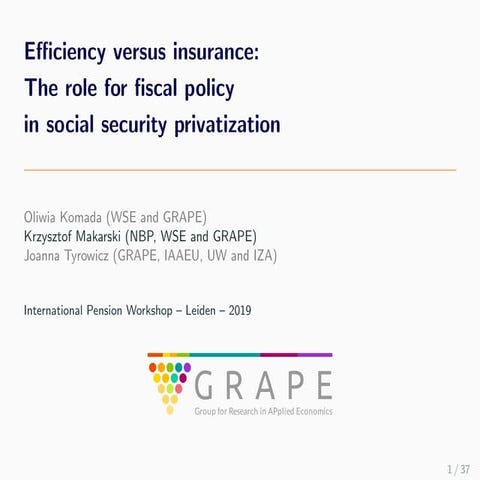 Effciency versus insurance: The role for fiscal policy in social security pri...